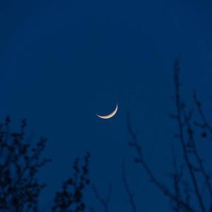 女奴玩尿孔玩屄久久网
